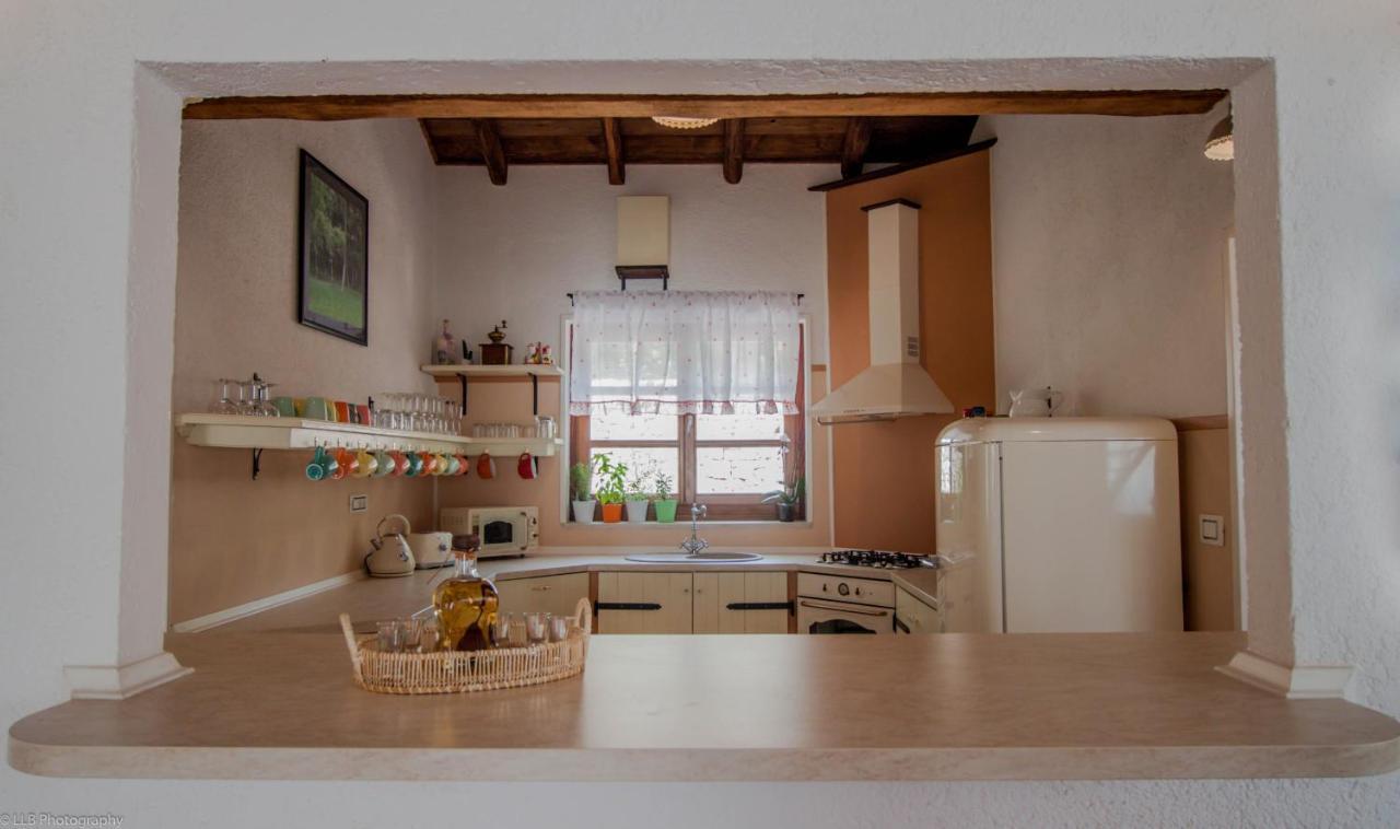 Family Villa Lipica With Private Pool And Jacuzzi 파진 외부 사진